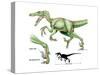 Dinosaur-Encyclopaedia Britannica-Stretched Canvas