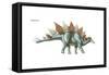 Dinosaur-Encyclopaedia Britannica-Framed Stretched Canvas