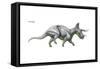 Dinosaur-Encyclopaedia Britannica-Framed Stretched Canvas