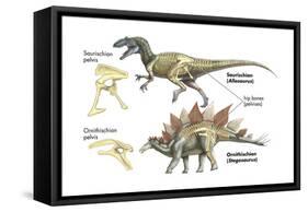 Dinosaur-Encyclopaedia Britannica-Framed Stretched Canvas