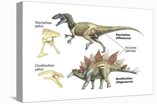 Dinosaur-Encyclopaedia Britannica-Stretched Canvas