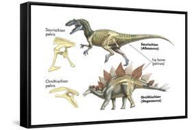 Dinosaur-Encyclopaedia Britannica-Framed Stretched Canvas