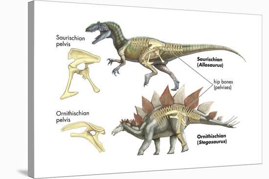 Dinosaur-Encyclopaedia Britannica-Stretched Canvas