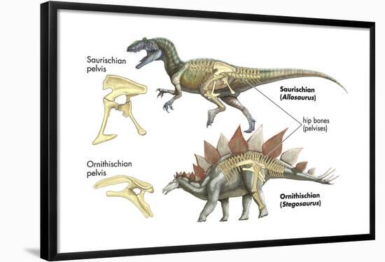 Dinosaur-Encyclopaedia Britannica-Framed Poster