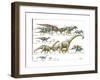 Dinosaur-Encyclopaedia Britannica-Framed Art Print