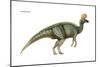 Dinosaur-Encyclopaedia Britannica-Mounted Poster