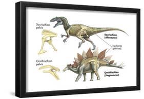 Dinosaur-Encyclopaedia Britannica-Framed Poster