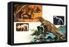 Dinosaurs and Skeletons. Stegasaurus and Tyranosaurus-null-Framed Stretched Canvas