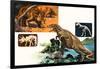 Dinosaurs and Skeletons. Stegasaurus and Tyranosaurus-null-Framed Giclee Print