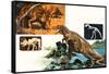 Dinosaurs and Skeletons. Stegasaurus and Tyranosaurus-null-Framed Stretched Canvas