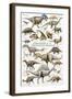 Dinosaurs, Cretaceous Period-null-Framed Premium Giclee Print
