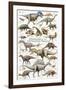 Dinosaurs, Cretaceous Period-null-Framed Premium Giclee Print