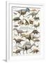 Dinosaurs, Cretaceous Period-null-Framed Premium Giclee Print