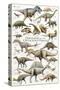 Dinosaurs, Cretaceous Period-null-Stretched Canvas