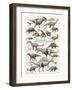 Dinosaurs, Cretaceous Period-null-Framed Art Print