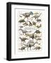 Dinosaurs, Cretaceous Period-null-Framed Art Print