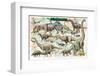 Dinosaurs for Kids-null-Framed Art Print