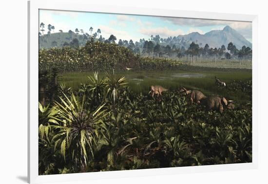 Dinosaurs Graze the Lush Delta Lands of North America 76-74 Million Years Ago-null-Framed Art Print