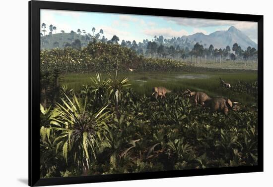 Dinosaurs Graze the Lush Delta Lands of North America 76-74 Million Years Ago-null-Framed Art Print