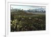 Dinosaurs Graze the Lush Delta Lands of North America 76-74 Million Years Ago-null-Framed Art Print