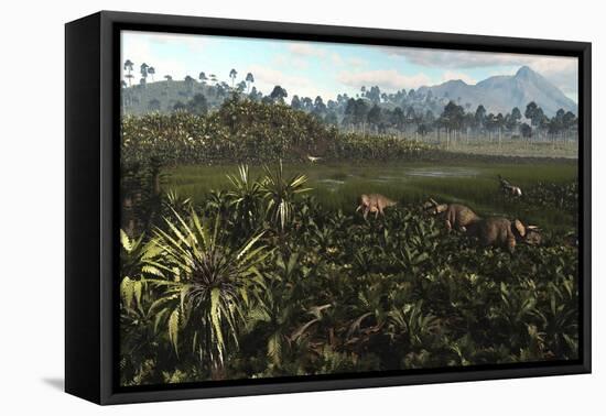 Dinosaurs Graze the Lush Delta Lands of North America 76-74 Million Years Ago-null-Framed Stretched Canvas