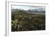 Dinosaurs Graze the Lush Delta Lands of North America 76-74 Million Years Ago-null-Framed Art Print