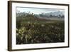 Dinosaurs Graze the Lush Delta Lands of North America 76-74 Million Years Ago-null-Framed Art Print