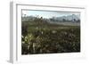 Dinosaurs Graze the Lush Delta Lands of North America 76-74 Million Years Ago-null-Framed Premium Giclee Print