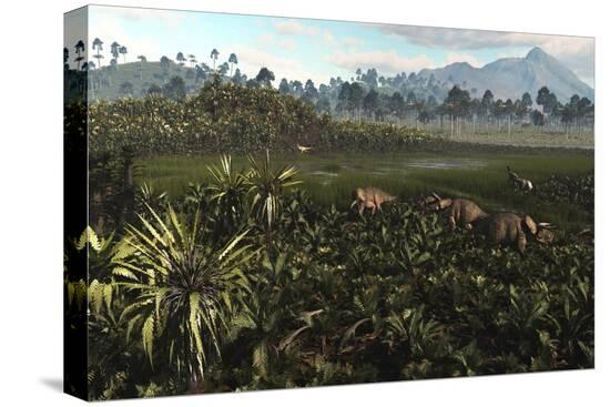Stretched Canvas Print, , large