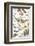 Dinosaurs, Jurassic Period-null-Framed Premium Giclee Print