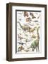 Dinosaurs, Jurassic Period-null-Framed Premium Giclee Print