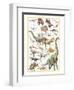 Dinosaurs, Jurassic Period-null-Framed Art Print