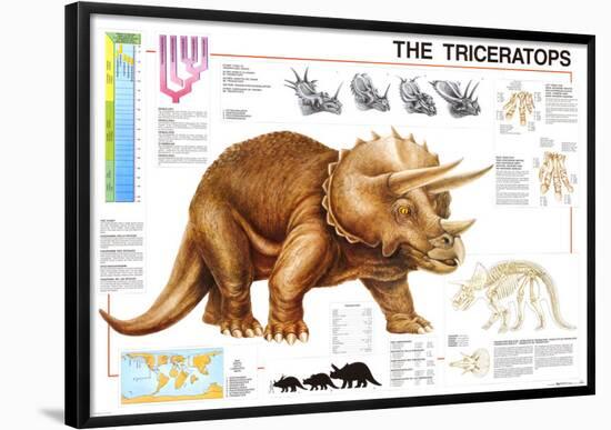 Dinosaurs Triceratops-null-Framed Poster