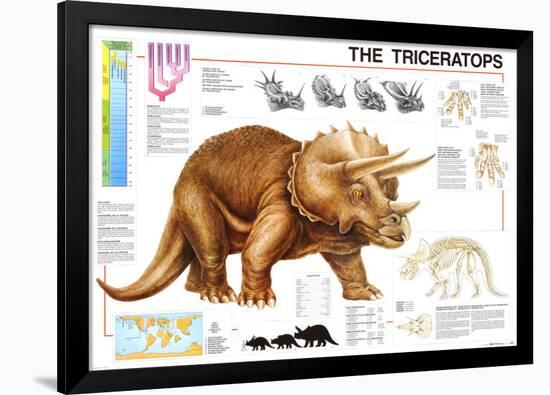 Dinosaurs Triceratops-null-Framed Poster