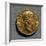 Diocletian Aureus Bearing Image of Emperor, Roman Coins, 3rd-4th Century AD-null-Framed Giclee Print