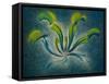 Dionaea, 1948-Isabel Alexander-Framed Stretched Canvas