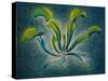 Dionaea, 1948-Isabel Alexander-Stretched Canvas
