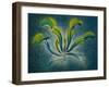 Dionaea, 1948-Isabel Alexander-Framed Giclee Print