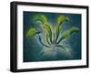 Dionaea, 1948-Isabel Alexander-Framed Giclee Print