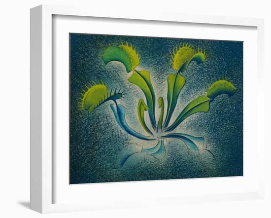 Dionaea, 1948-Isabel Alexander-Framed Giclee Print