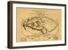 Dionysius in the World Traveled by the Greeks-Bertius-Framed Art Print
