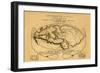 Dionysius in the World Traveled by the Greeks-Bertius-Framed Art Print