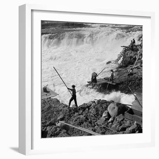 Dip Net Fishing at Celilo Falls, 1954-Virna Haffer-Framed Premium Giclee Print