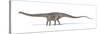 Diplodocus Dinosaur, Artwork-null-Stretched Canvas