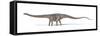 Diplodocus Dinosaur, Artwork-null-Framed Stretched Canvas