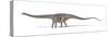 Diplodocus Dinosaur, Artwork-null-Stretched Canvas