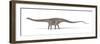 Diplodocus Dinosaur, Artwork-null-Framed Photographic Print