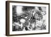 Diplodocus Dinosaur Being Assembled In Paris Museum-null-Framed Art Print