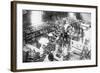 Diplodocus Dinosaur Being Assembled In Paris Museum-null-Framed Art Print