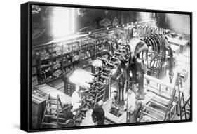 Diplodocus Dinosaur Being Assembled In Paris Museum-null-Framed Stretched Canvas